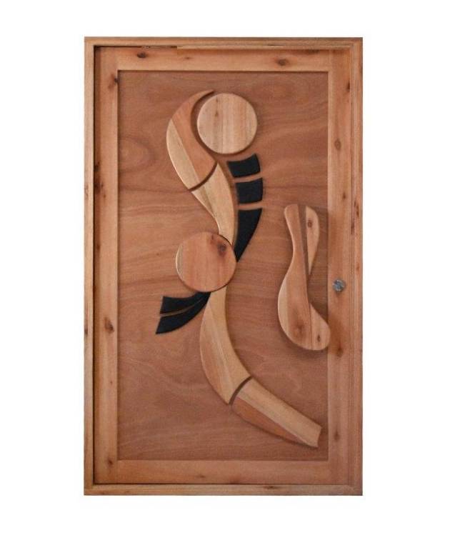 Fancy FD2 Pivot Door